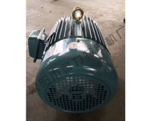 Y系列三相電機(jī)廠家