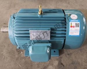 Y系列三相電機(jī)質(zhì)量